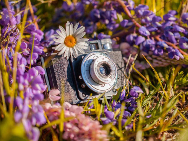 Itogi-fotokonkursa-Neobyknovennoe-leto-Urala