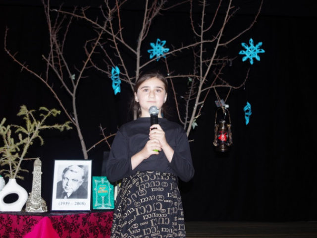 v-dolakovo-proshel-poeticheskii-vecher-priurochennyi-k-86-letiyu-so